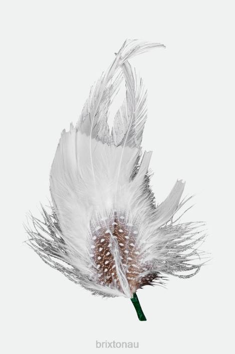 Accessories Multi Brixton 0FDH351 Unisex Robert Hat Feather